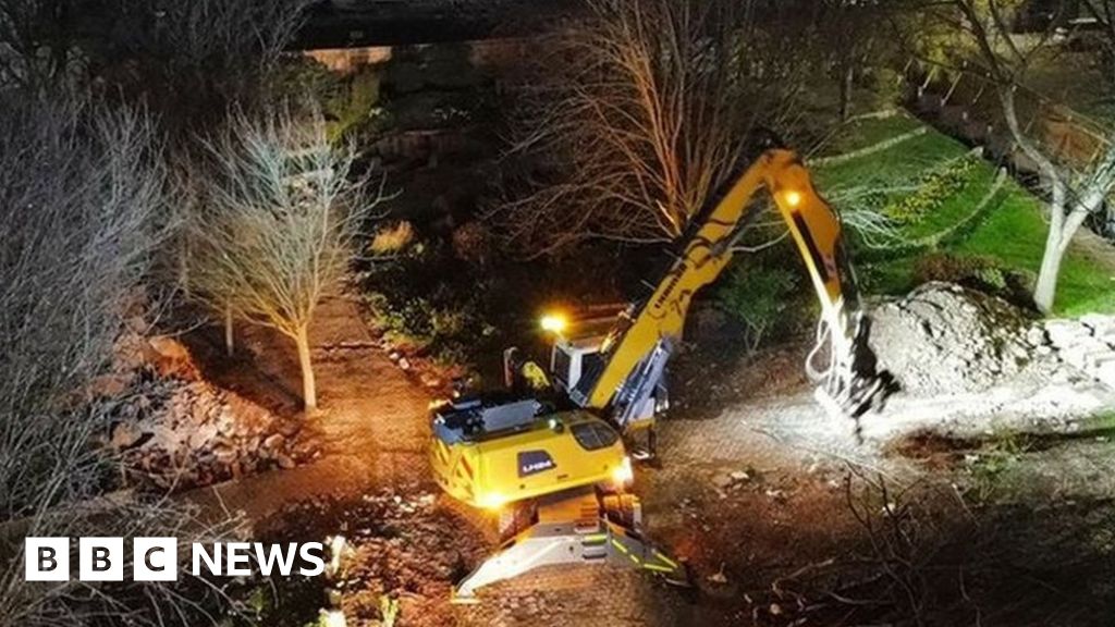 Plymouth Council To Fell Dozens Of Trees In City Centre Revamp Project