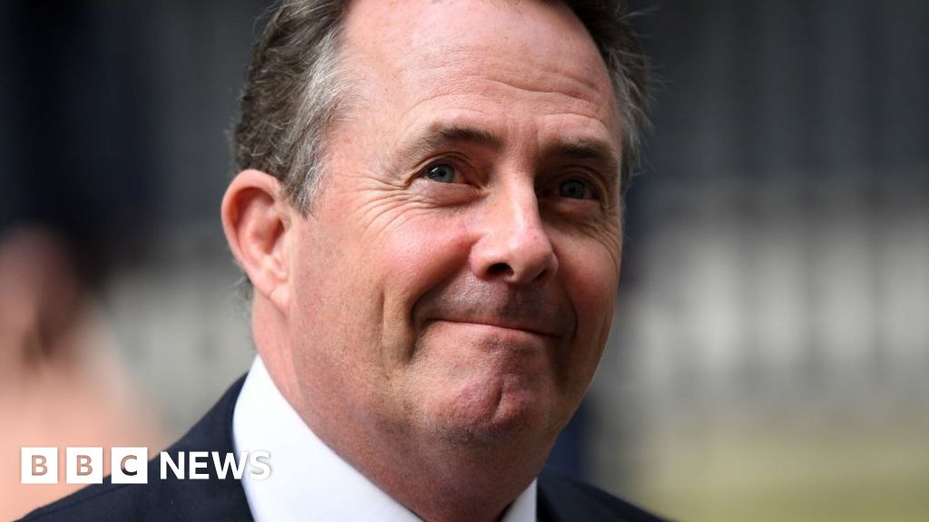 Brexit Liam Fox Transition And Project After