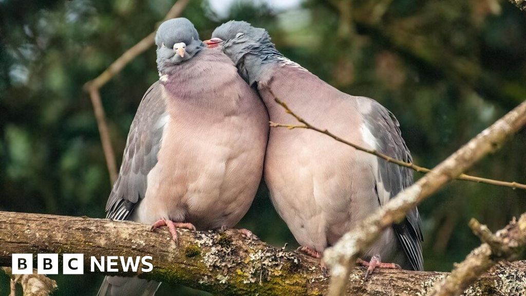 Your Pictures Of Scotland March Bbc News