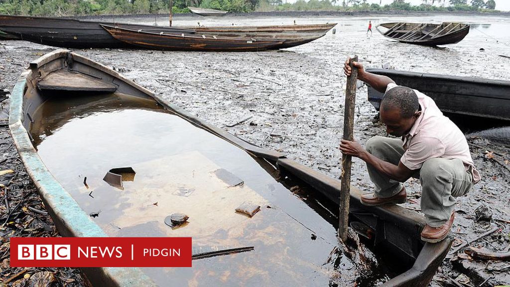 Four Nigerian Farmers Get 16m From Shell For Oil Pollution Damage