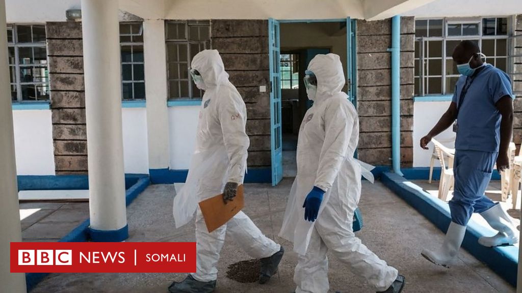 60 Il Biriqsi Wararka Cudurka Coronavirus Ee Maanta BBC News Somali