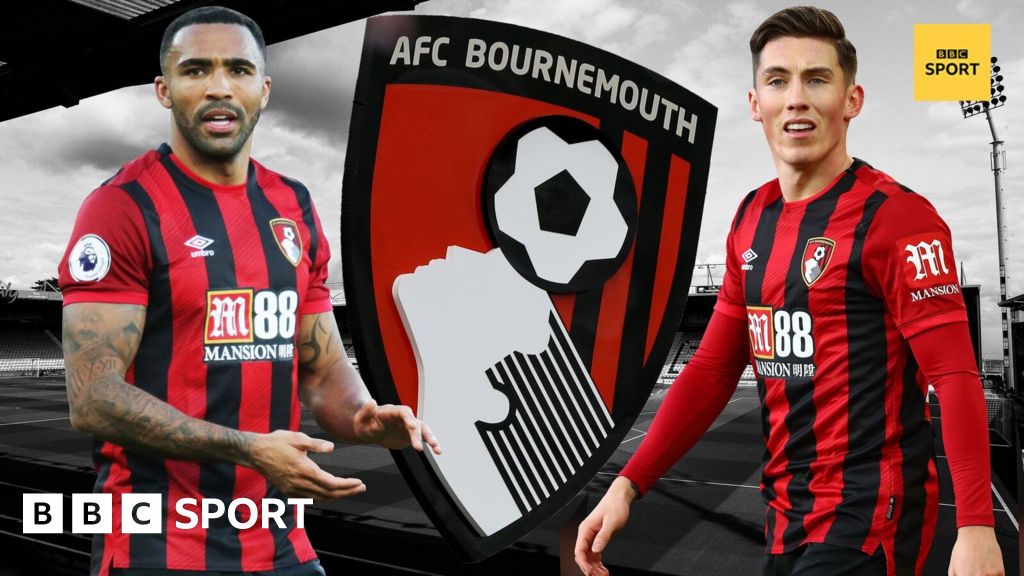 Bournemouth Quiz Are You The Ultimate Bournemouth Fan Bbc Sport