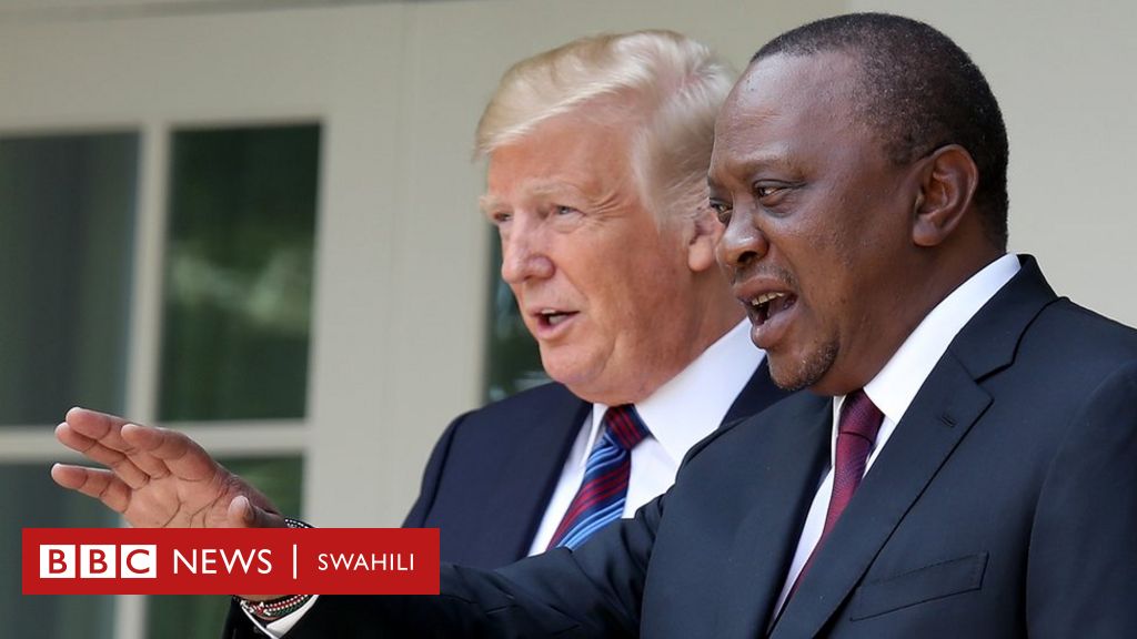 Rais Trump Na Kenyatta Wajadili Ugaidi Na Biashara Mkutano Wao White