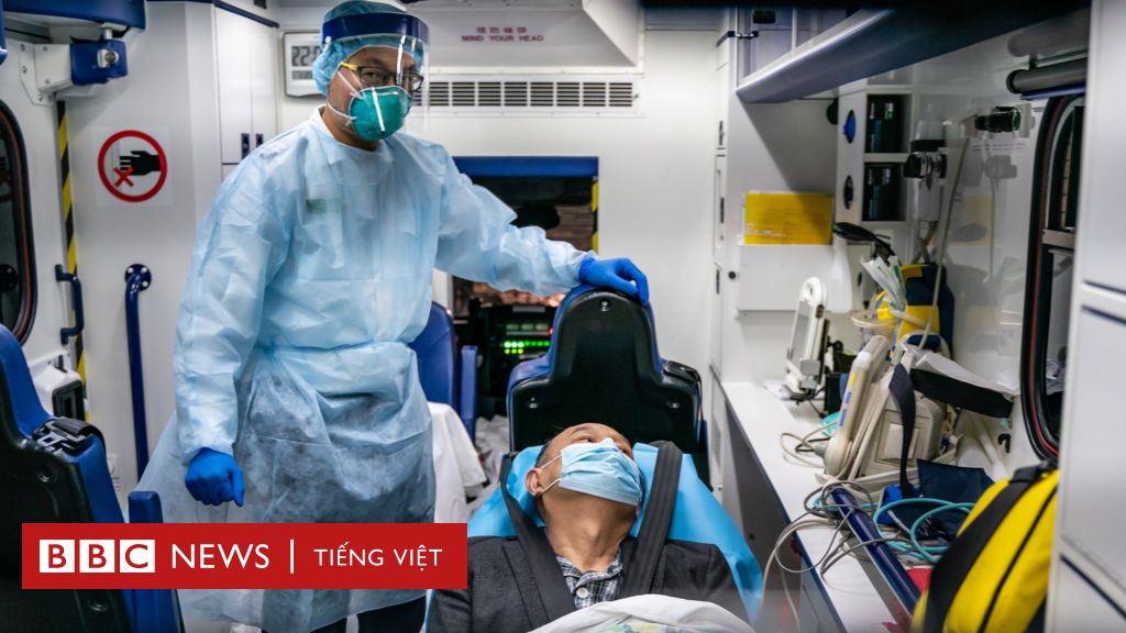 Virus corona Tác động đến cơ thể như thế nào BBC News Tiếng Việt