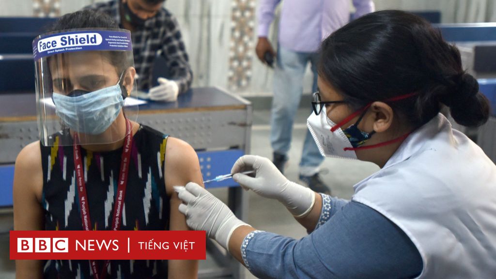 Covax Vaccine Covid được chia sẻ như thế nào BBC News Tiếng Việt