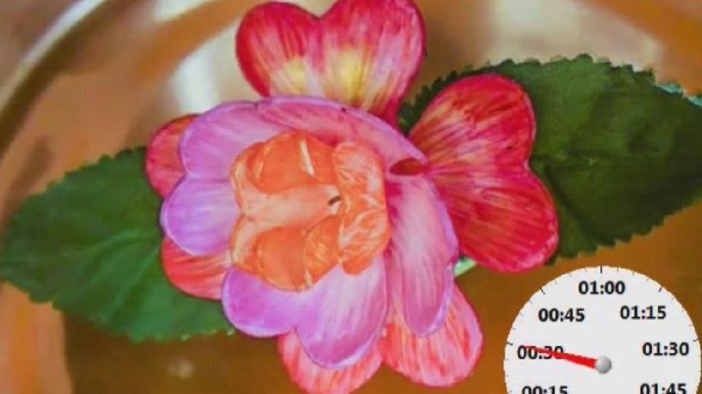 Materials programmed to shape shift