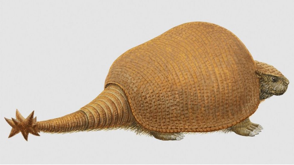 Monstrous fossils 'were armadillos'