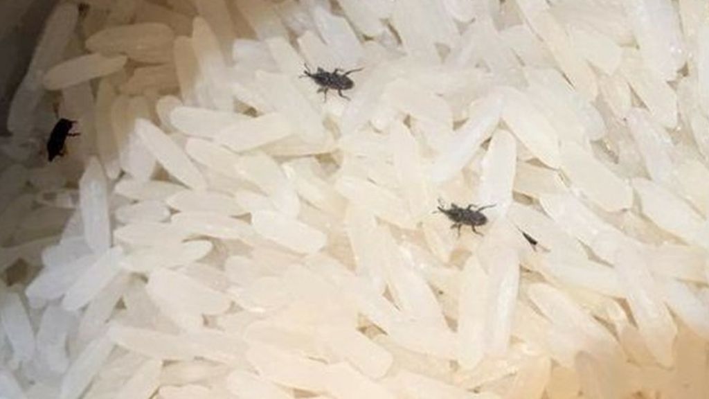Blackburn woman finds 30 bugs in Tesco bag of rice