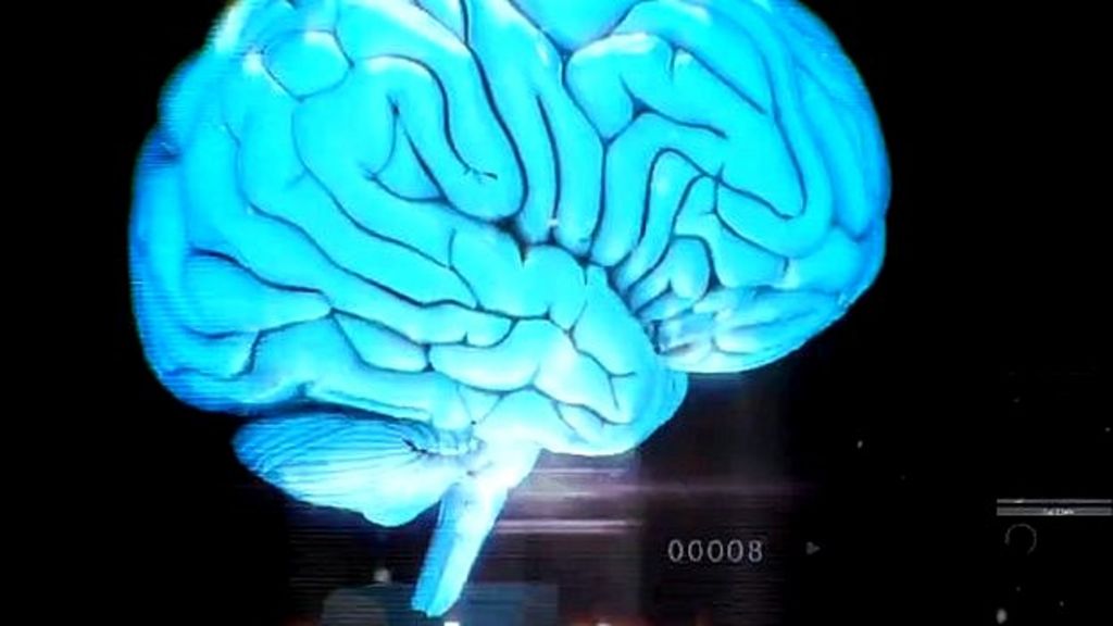 play for the brain essay play for the brain essay