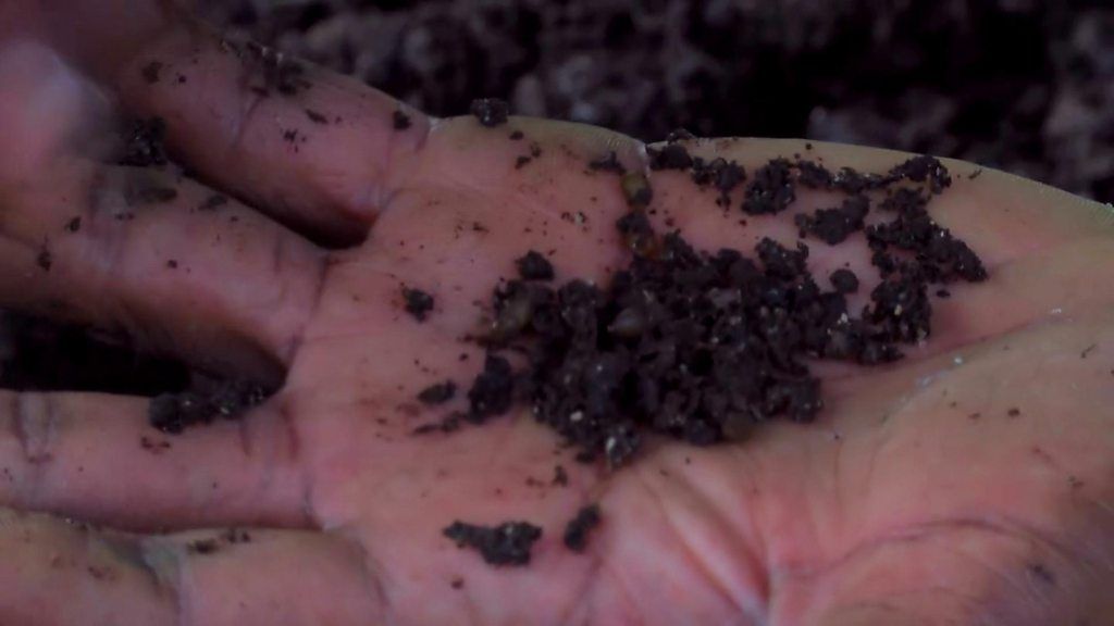 Why mix earthworms and cocoa shells?