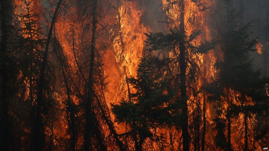 What Canada fire escapees took with them