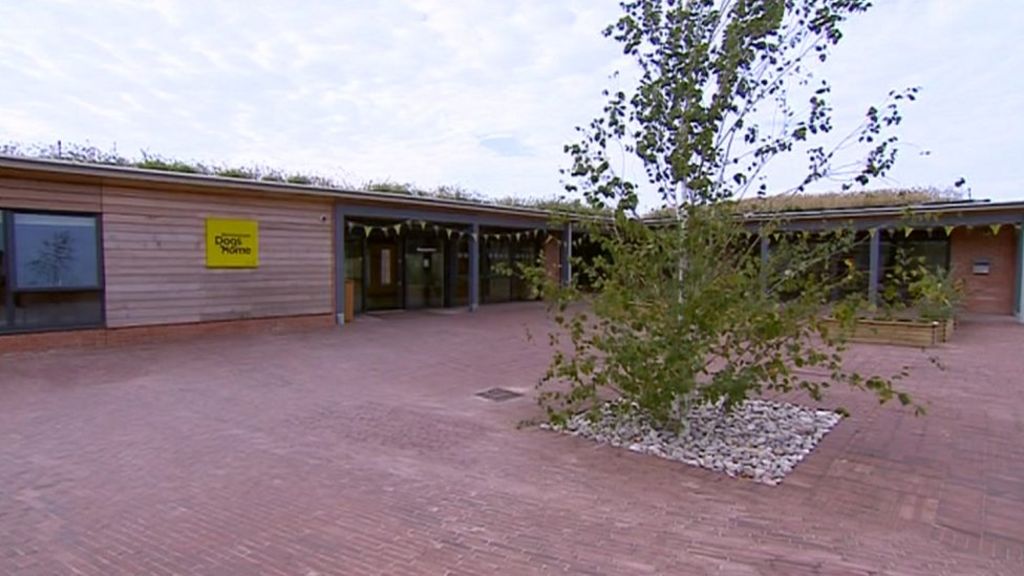 Birmingham Dog Home boss arrested over £450k theft