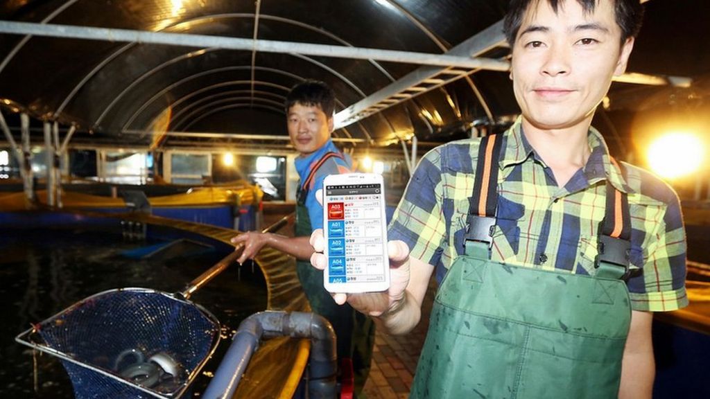 Fishy business makes more sense with sensors