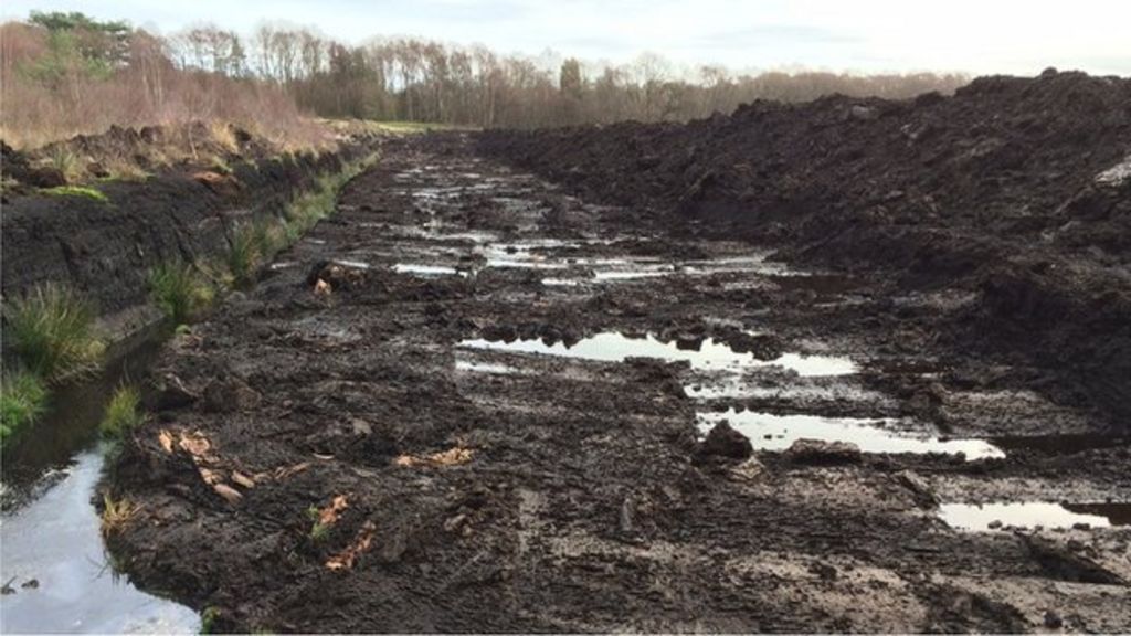 Lindow Moss Calls for investigation into sinking Cheshire bog BBC News