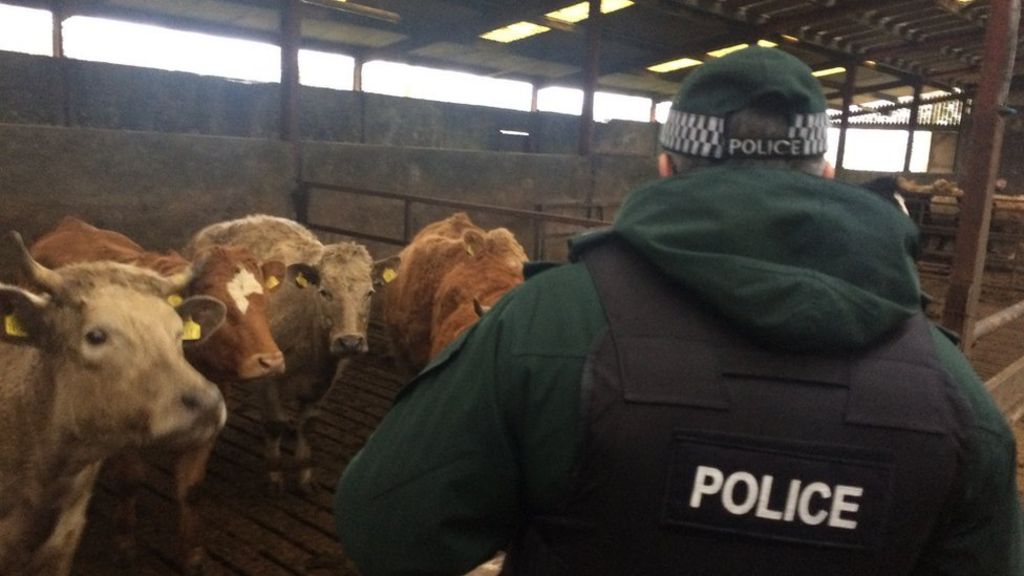 Cross-border farm raids carried out