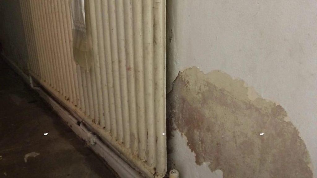 Claims mould and damp in flat are making children ill