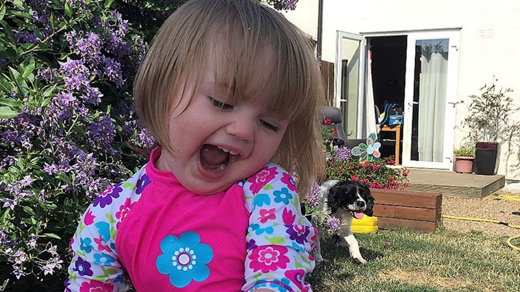 Faye Burdett meningitis petition family 'ignored by government'