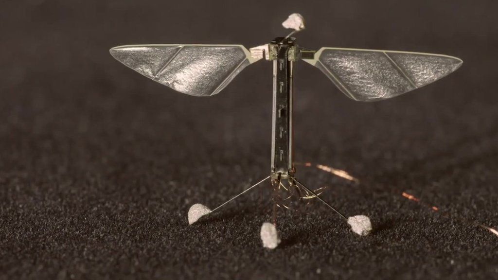 VIDEO: RoboBee copies puffins to fly and swim