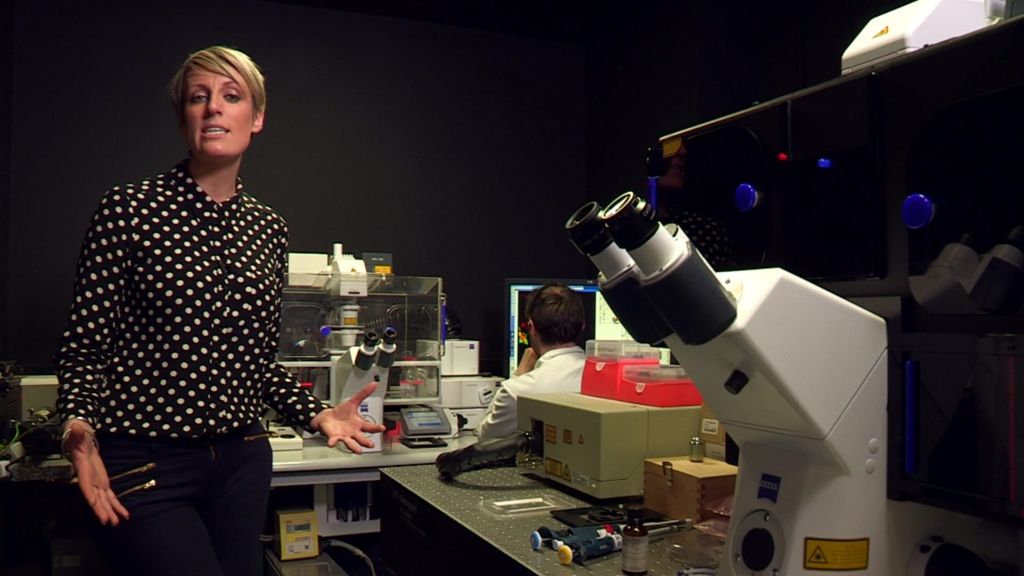 VIDEO: What does the EU vote mean for science?