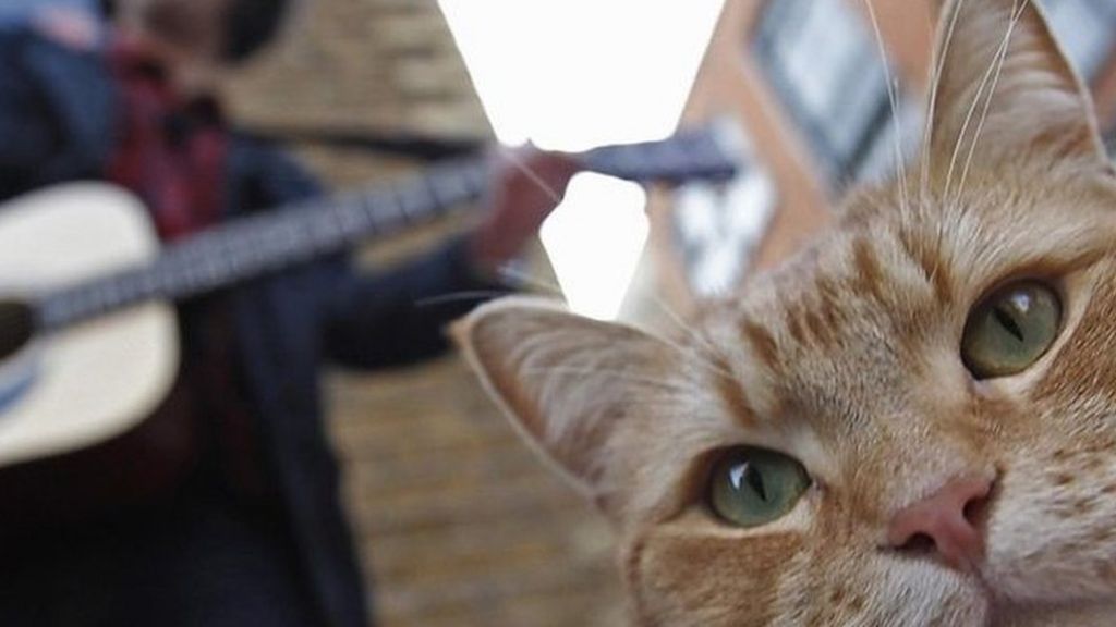 Movie 2016 Online Watch A Street Cat Named Bob