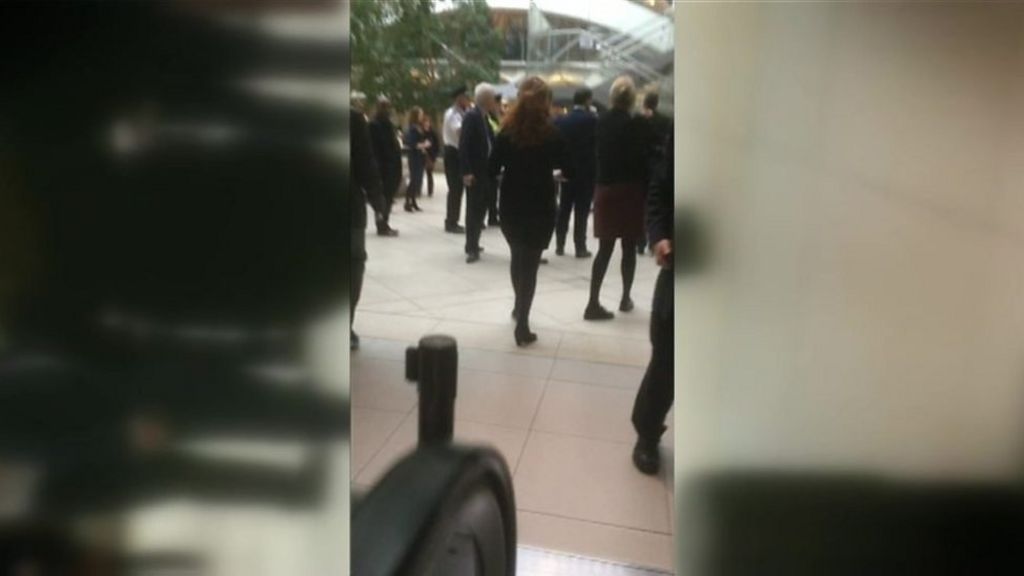 London attack: MP's mobile footage shows Westminster panic