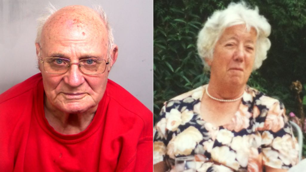Ronald King admits manslaughter of wife Rita in care home shooting