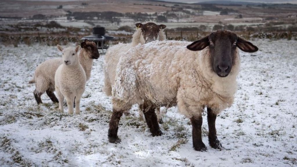 Your pictures on BBC News NI