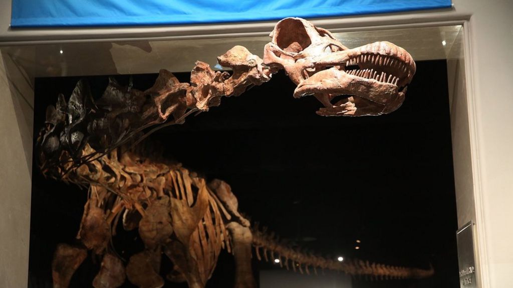 Reconstructing the 'world's biggest dinosaur'
