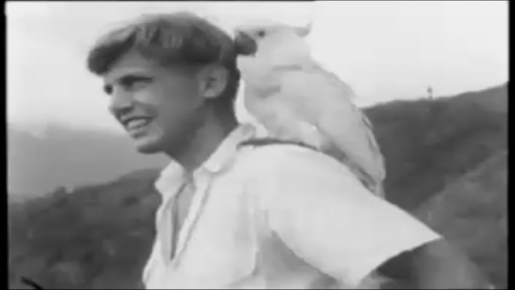 VIDEO: Celebrating Attenborough at 90