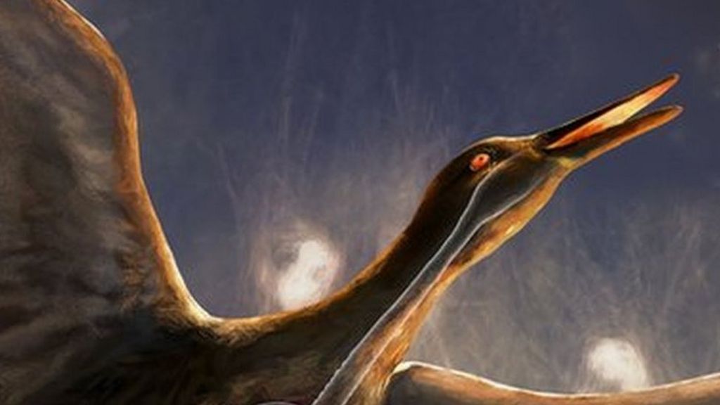 Fossil sheds light on evolution of birdsong