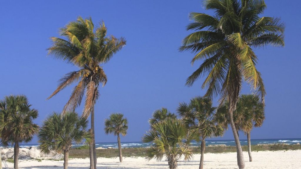 Bahamian pleads guilty over celeb hacks