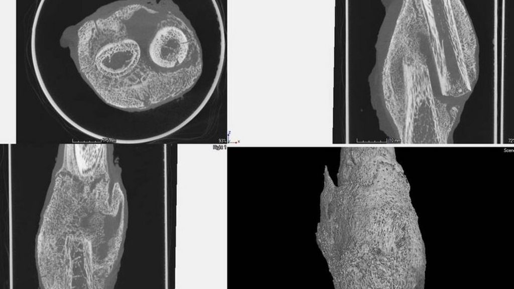 3D aerospace technology 'helping to convict killers'
