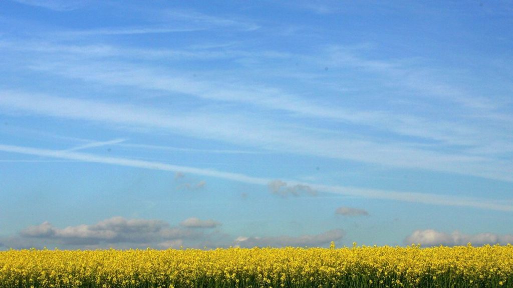 Nature report should be released now - MPs