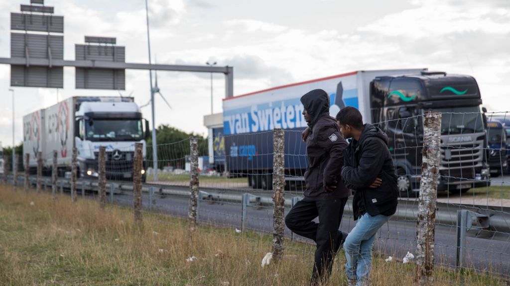 Extra fencing and dogs for Calais