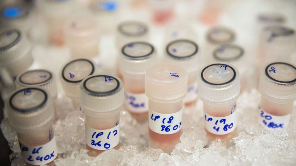 Most scientists 'can't replicate studies by their peers'