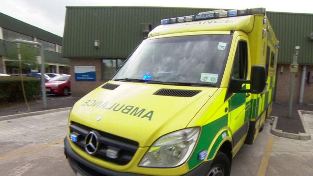 999 dash to save 'boy' finds dog