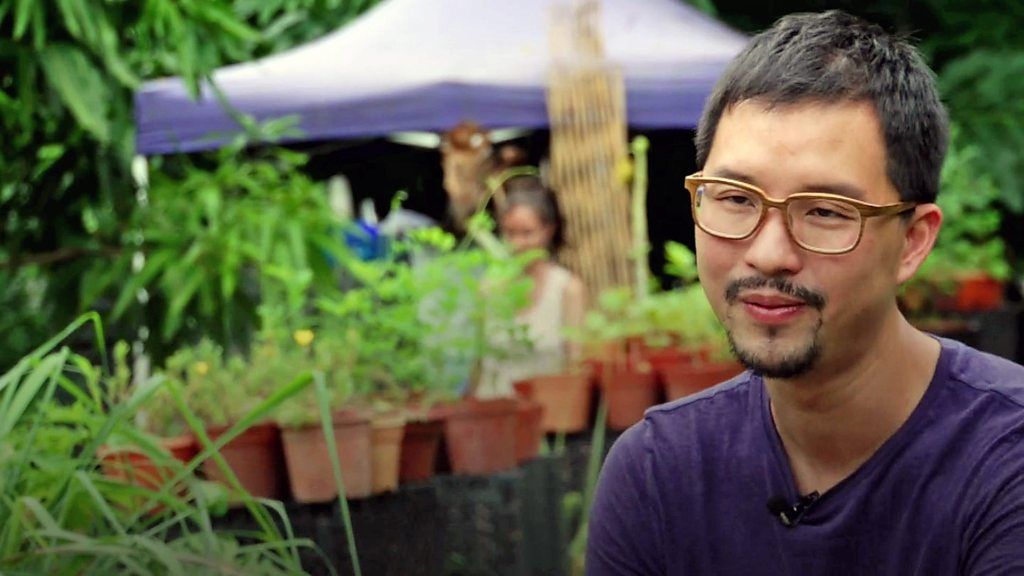Edible gardens take root in urban Singapore