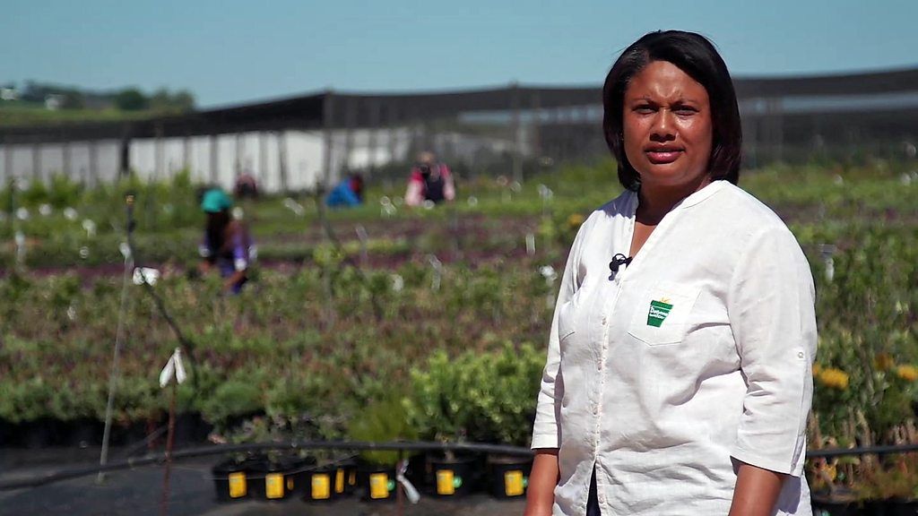 South Africa's scrubland plant entrepreneur