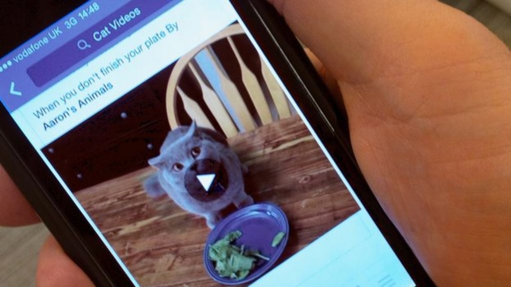 Facebook to pay video clip creators