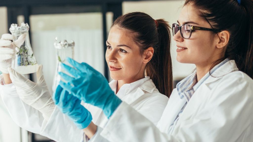 Academics 'must not be used as Brexit pawns'