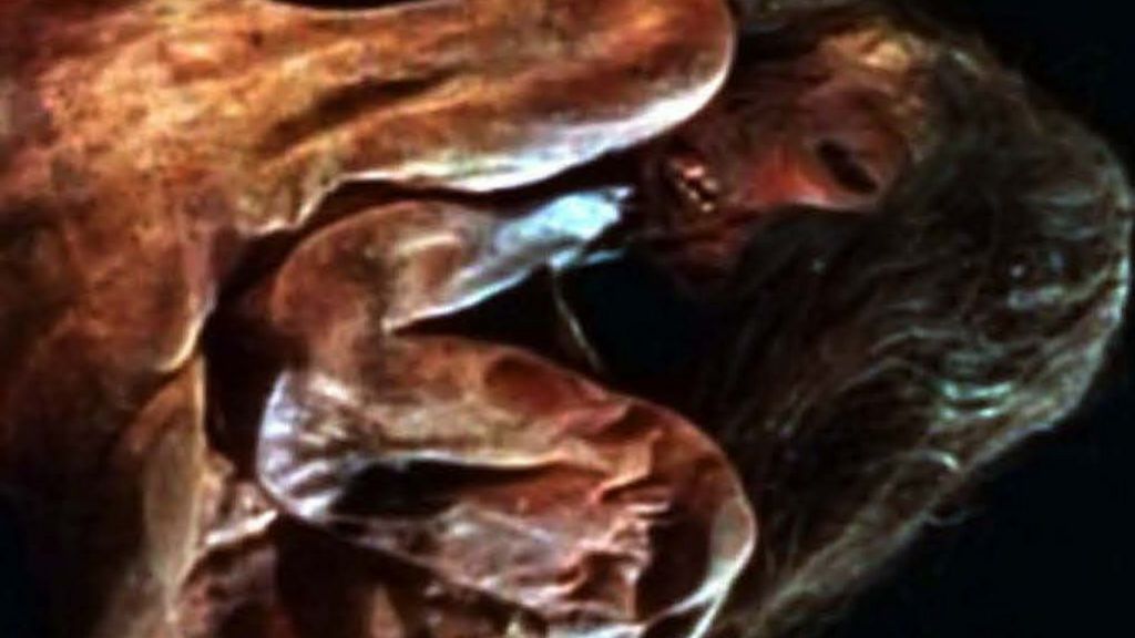 Lost genetic history of Inca mummy