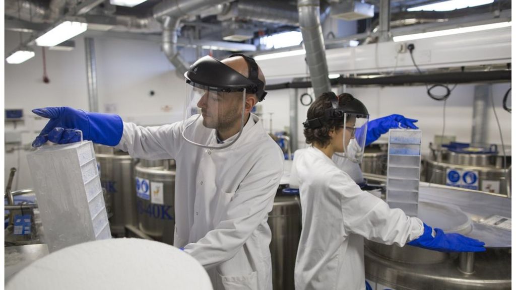 EU referendum: UK science wakes up to new future