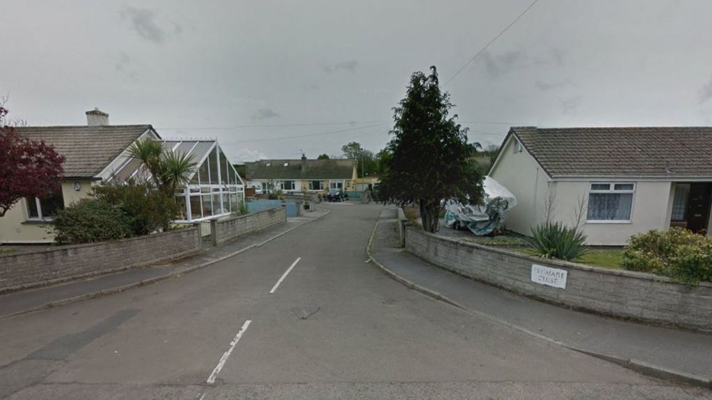 Woman, 78, has arm ripped off in parked car in Cornwall
