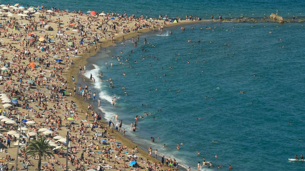 Lowcost Holidays demise blamed on Brexit vote