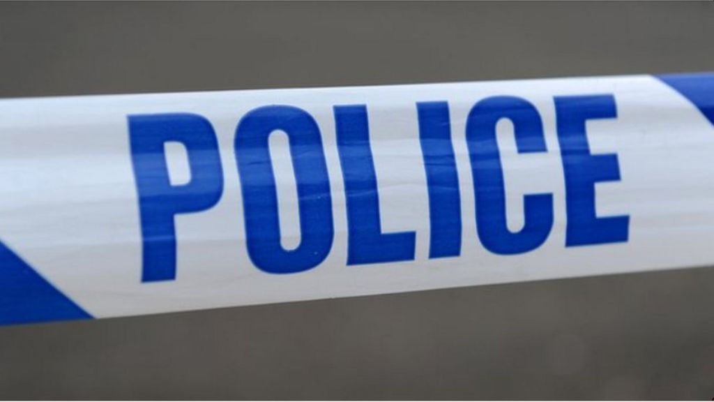 Sale woman Tasered in own home by raiders, say police