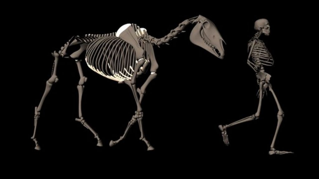 Motion capture animates animals