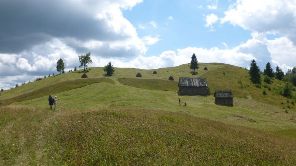 How to shave a mountain