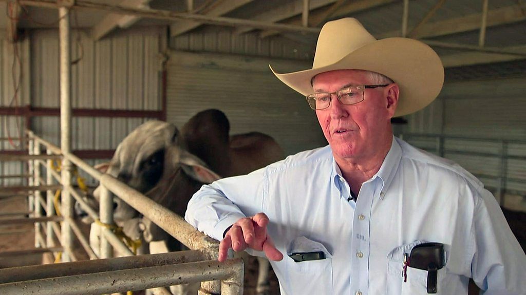 Texas cattle rancher fears for future