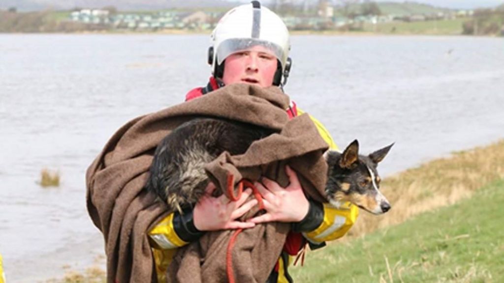 Woman waist deep in seawater rescued