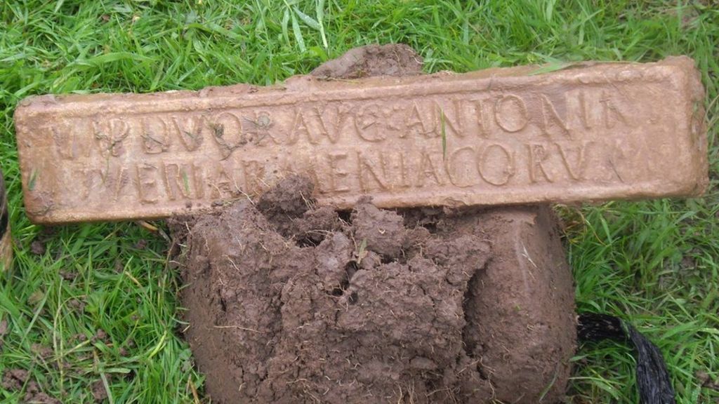 Roman lead pig unearthed on Somerset farm in 'find frenzy' BBC News